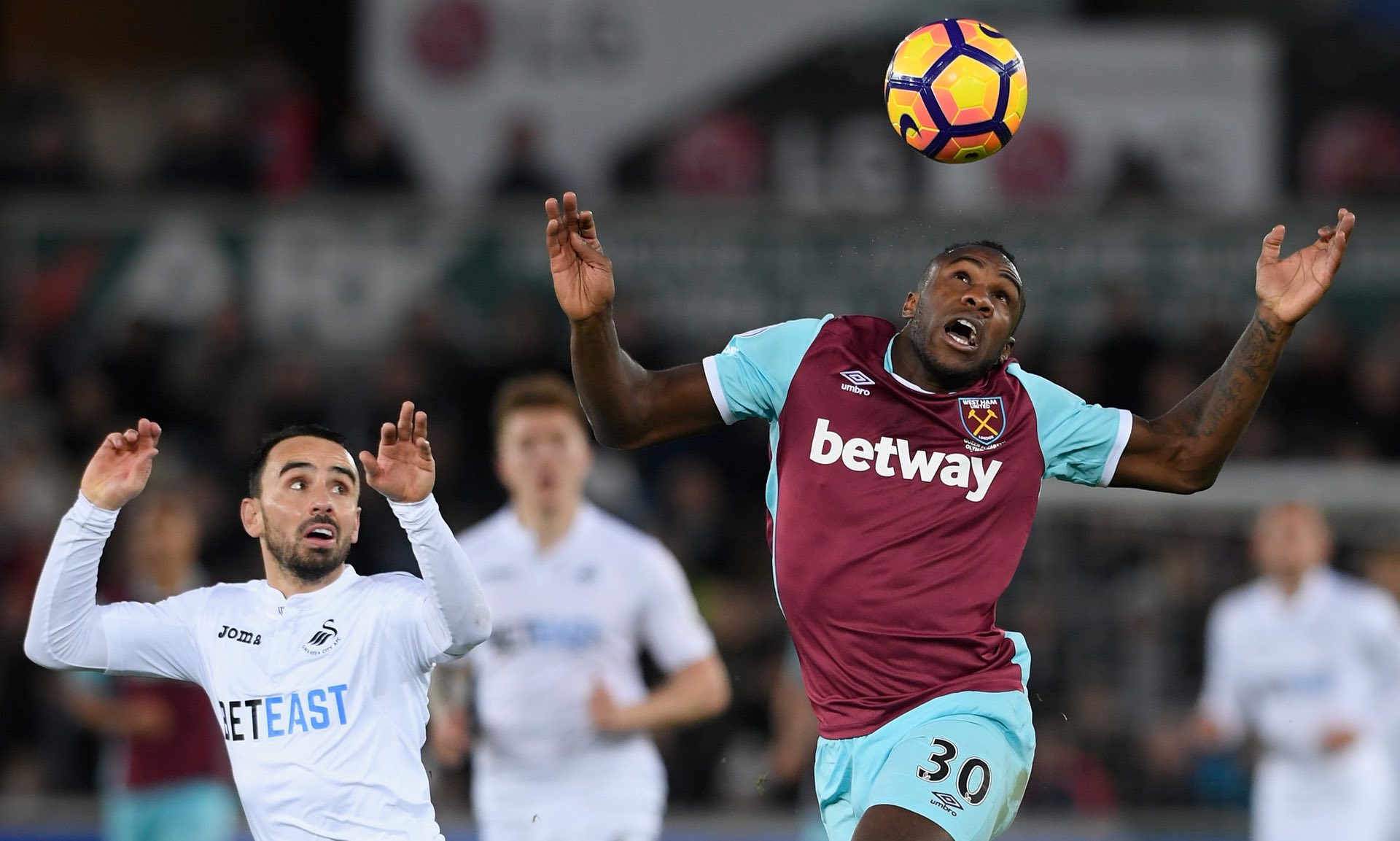 郑钦文不仅 郑钦文不仅