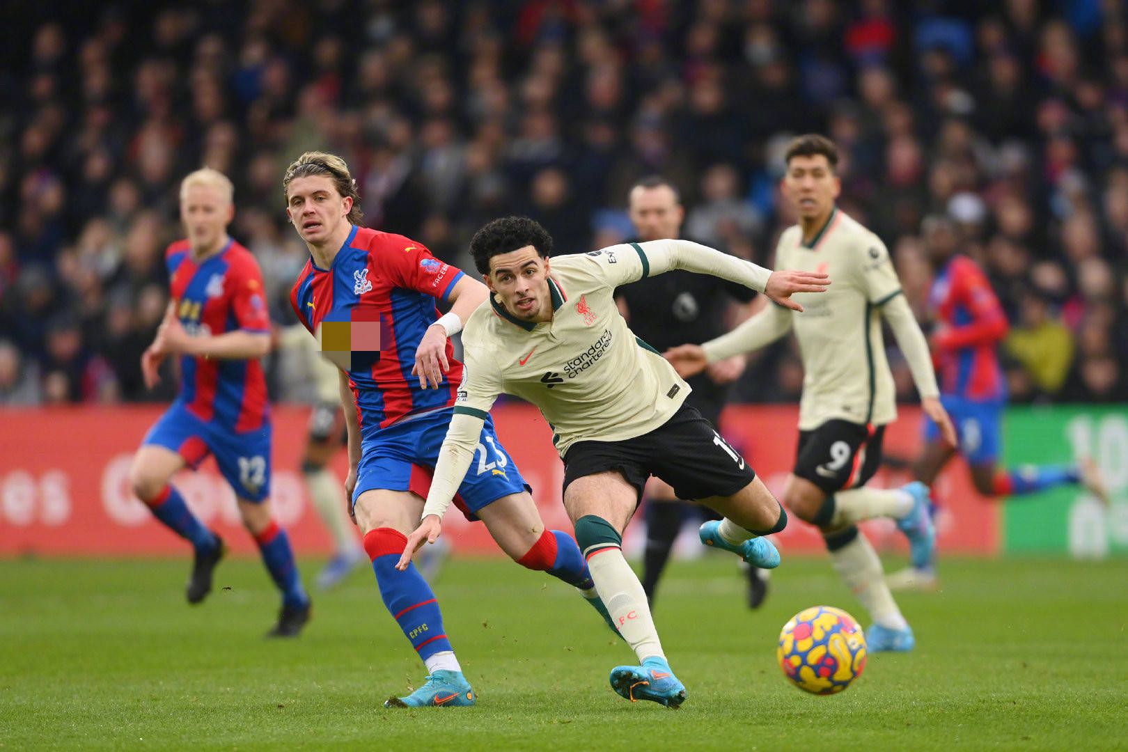 庆祝动作 庆祝动作