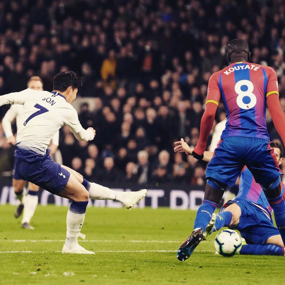 的优异表现 的优异表现